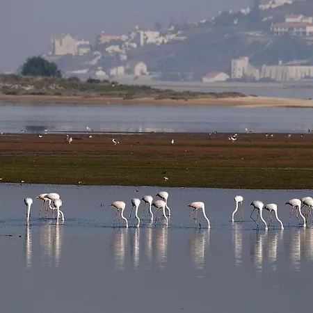 Castellino - Perfect Family Retreat 빌라 Fanadia